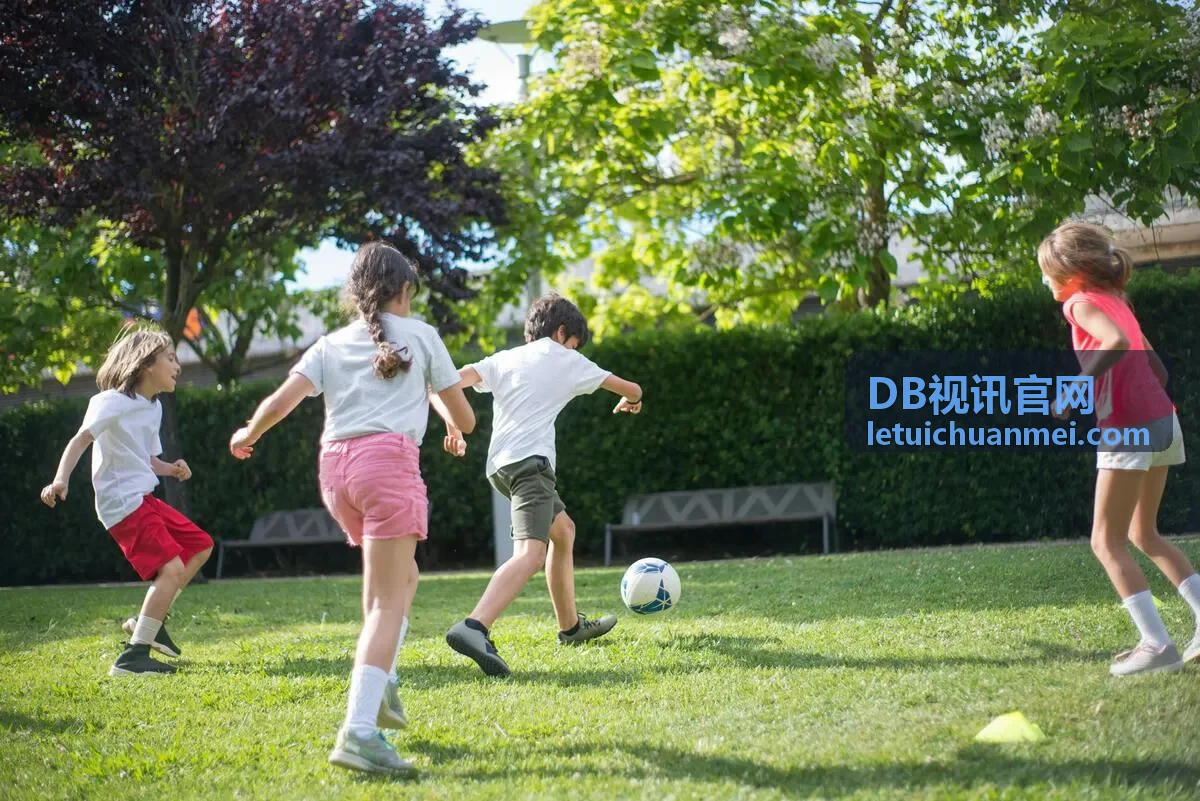 DB视讯直播